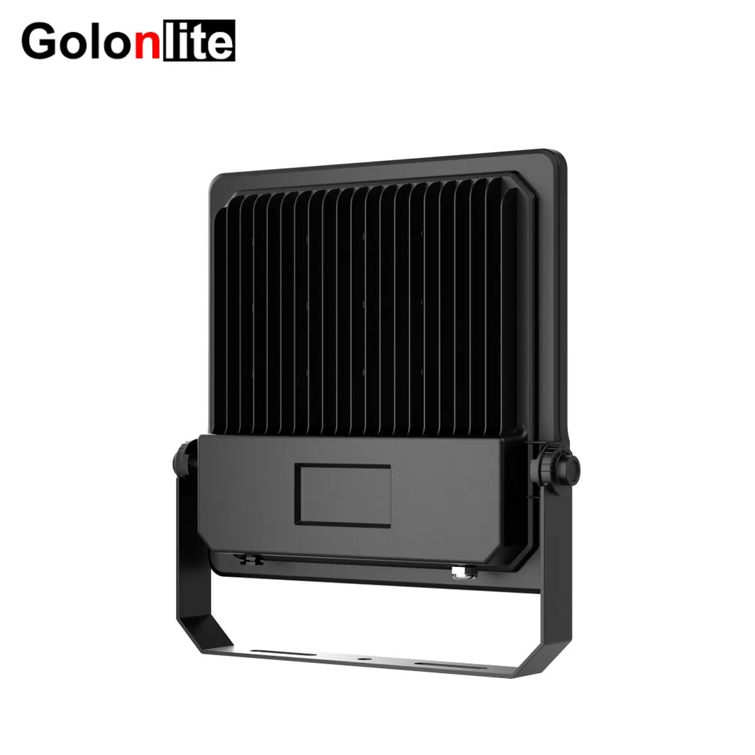 LED Floodlight 2