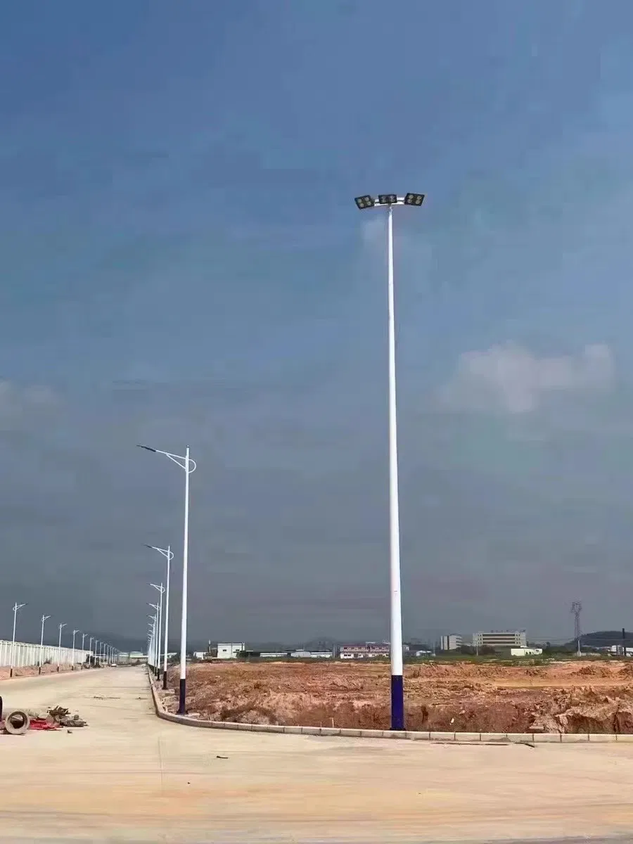 Lâmpadas de Rua LED Regulares e Solares para Iluminação de Estradas Externas Alta Brilho Economia de Energia Suporta Personalização de Altura Potência e Temperatura de Cor