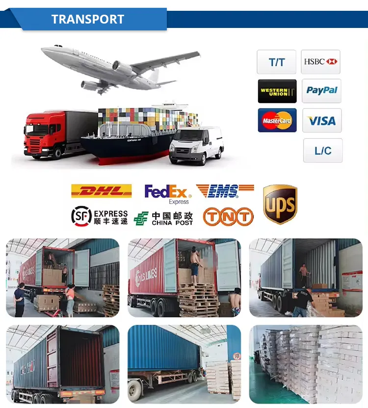 Transporte 1
