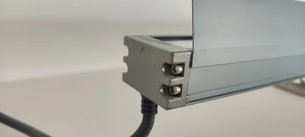 Detalhe 6