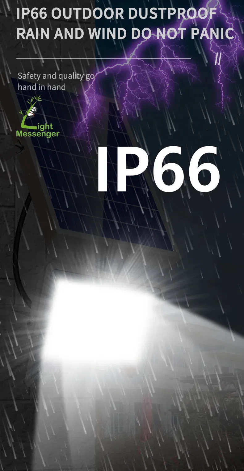 Feature 13