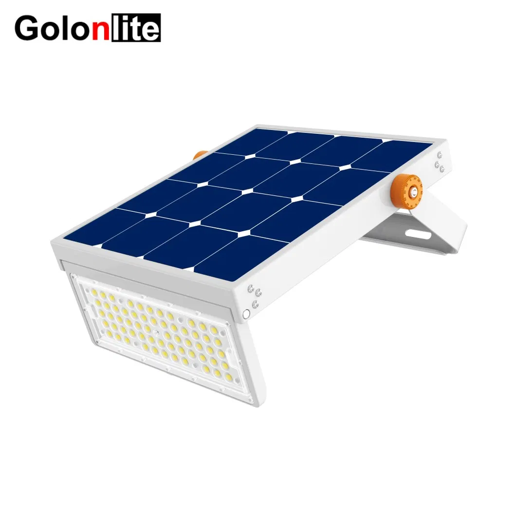 Solar Garden Light 2