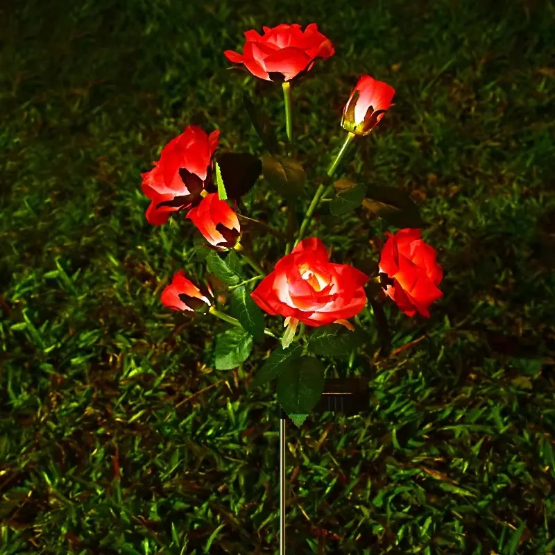 Rosa Solar Light 6