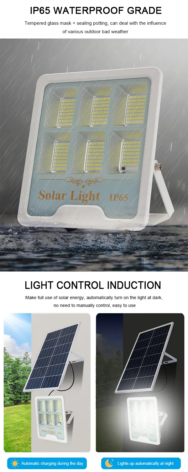 Solar Floodlight
