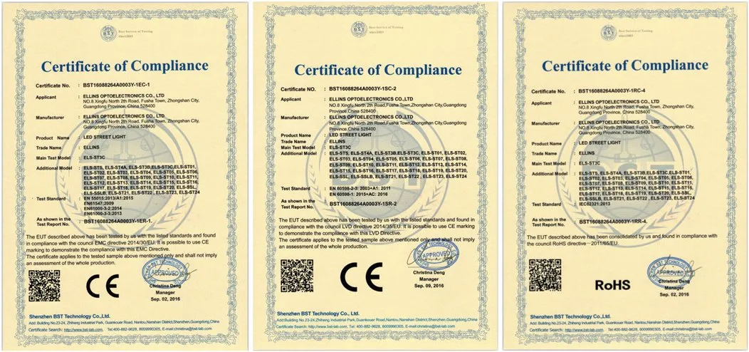 Certificado 1