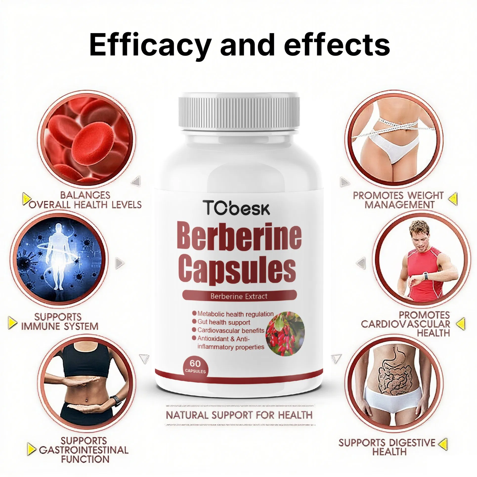 Natural Berberine HCl Capsules Herbal Supplement for Blood Sugar Support, Cholesterol, Weight Management