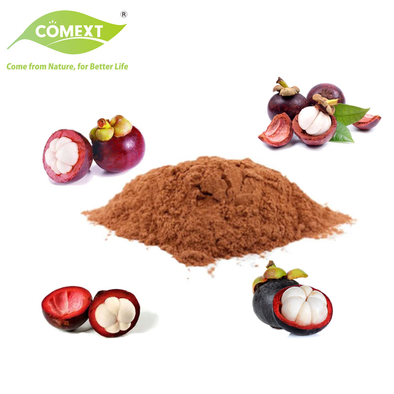 Comext Professional Manufature Alpha Mangostin 40% Mangosteen Extract