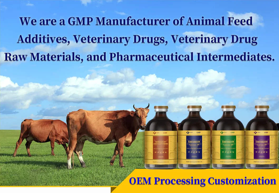 Lincomycin Injection Product View