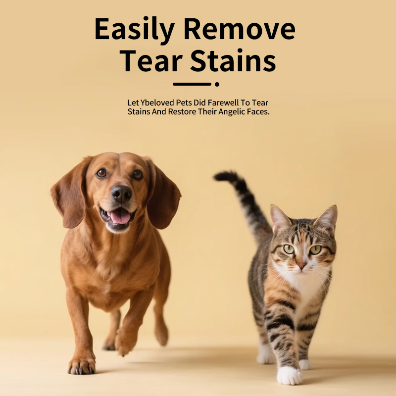 Oral Tear Stain Remove Solve Pet Tear Stain Prepare Nutritious Meals