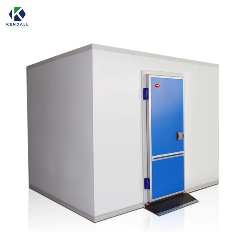 Freezer Cold Room Chambre Froide Industrial Blast Freezer Walkin Cooler Cold Storage Room Price Fresh-Keeping Freezer Fruit