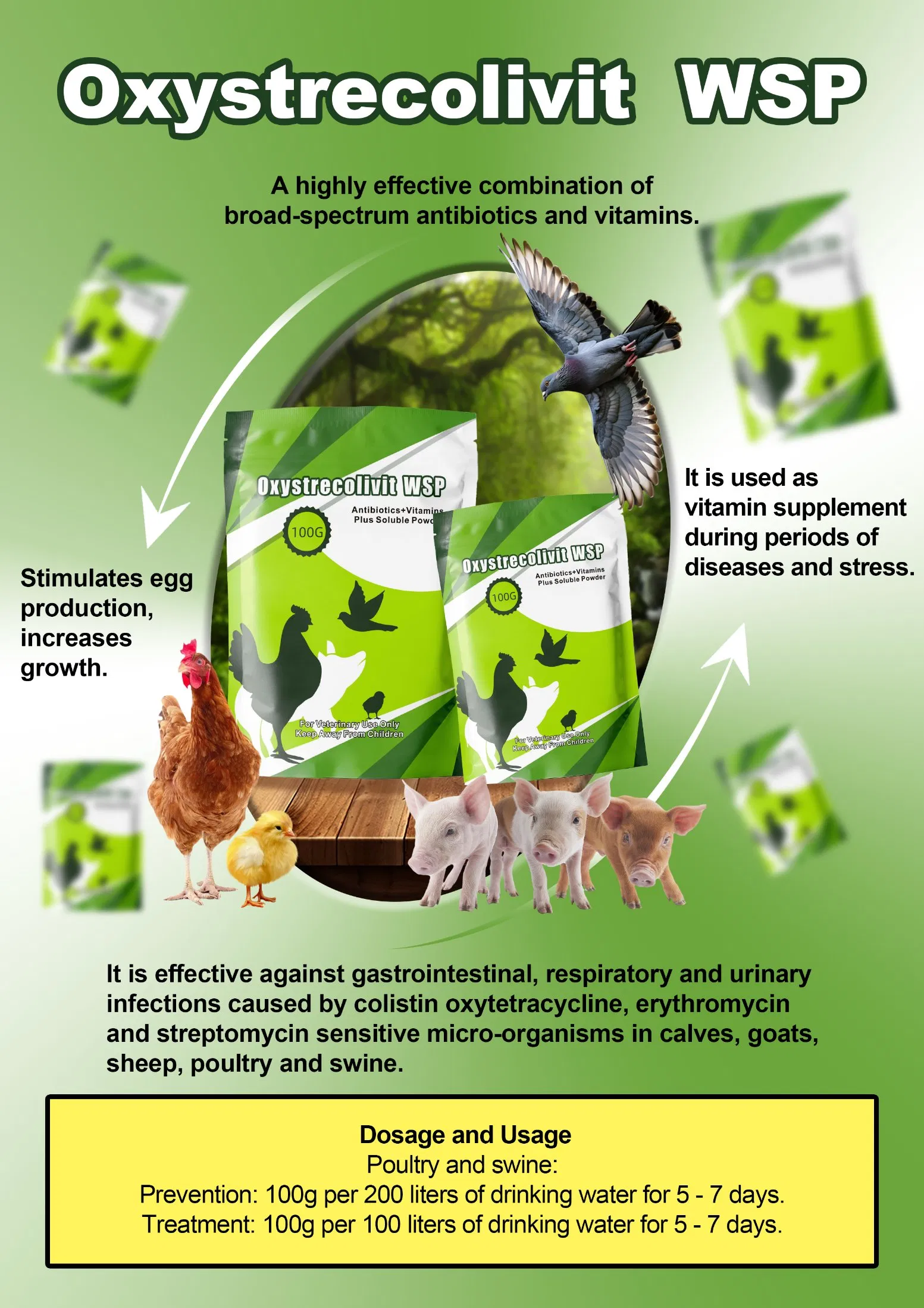 0xystrecolivit Wsp Antibiotics+Vitamins Plus Soluble Powder for Poultry and Pigs