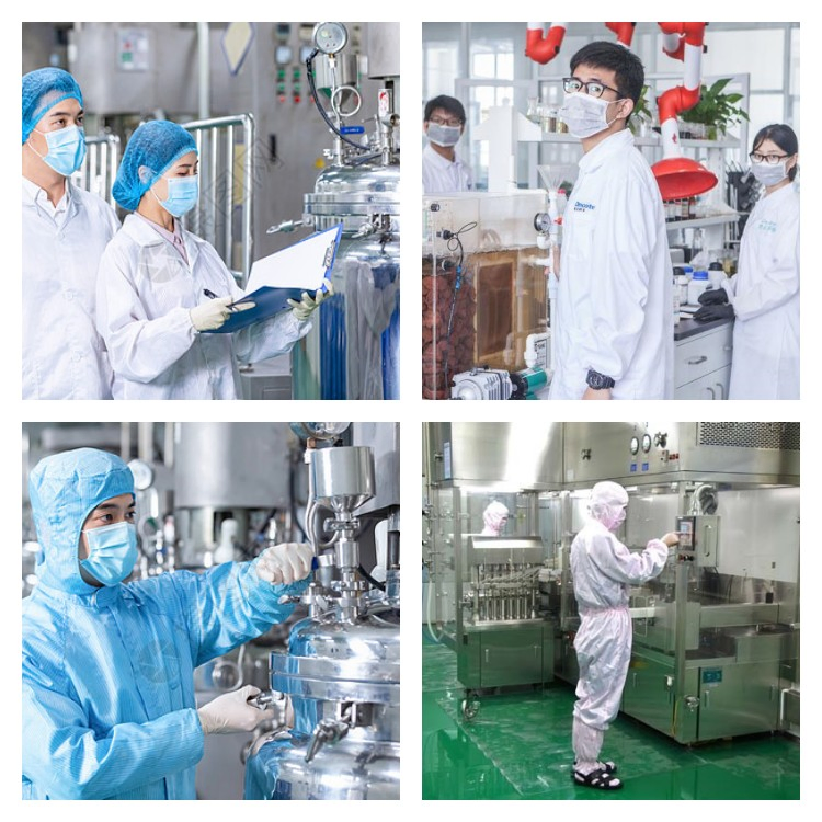 OEM Herbal Extract Weight Management Berberine Hydrochloride HCl Supplements Berberine Capsule