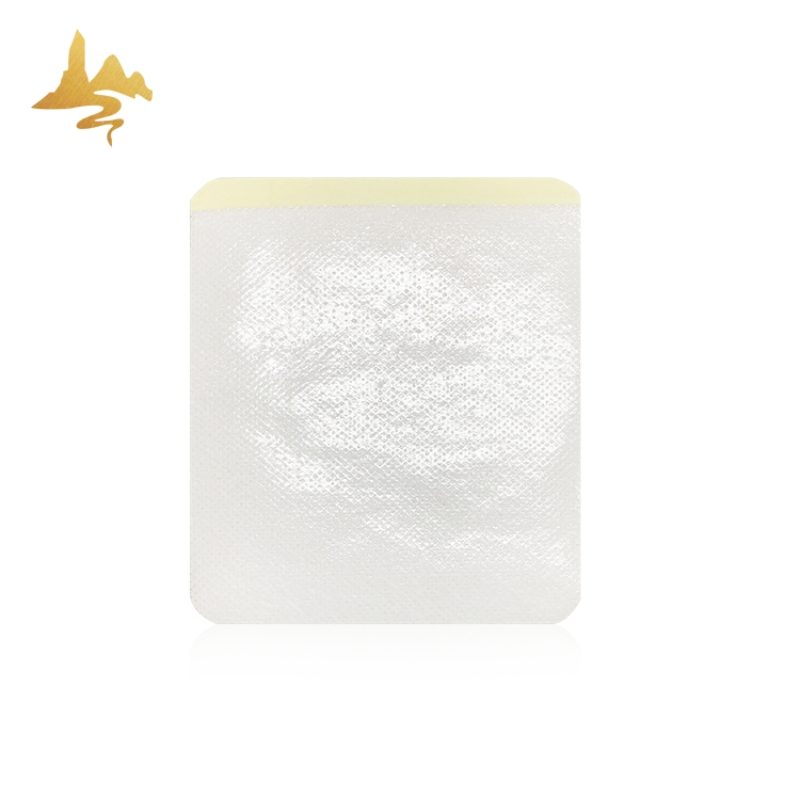 Best Price Wholesale Organic Herbal Ginger Extract Detox Foot Pain Relief Patch