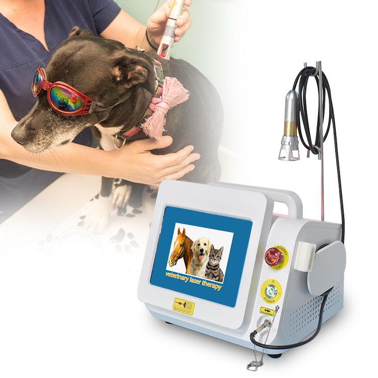 2024 Pet Care Laser 980nm Vet Medical Infrared Light Laser Therapy Pain Relief