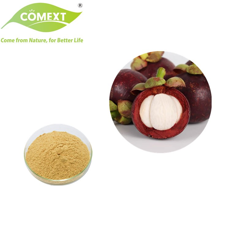 Comext Pure Natural High Quality Alpha Mangostin 50% Mangosteen Fruit Extract Powder for Healthcare Supplement
