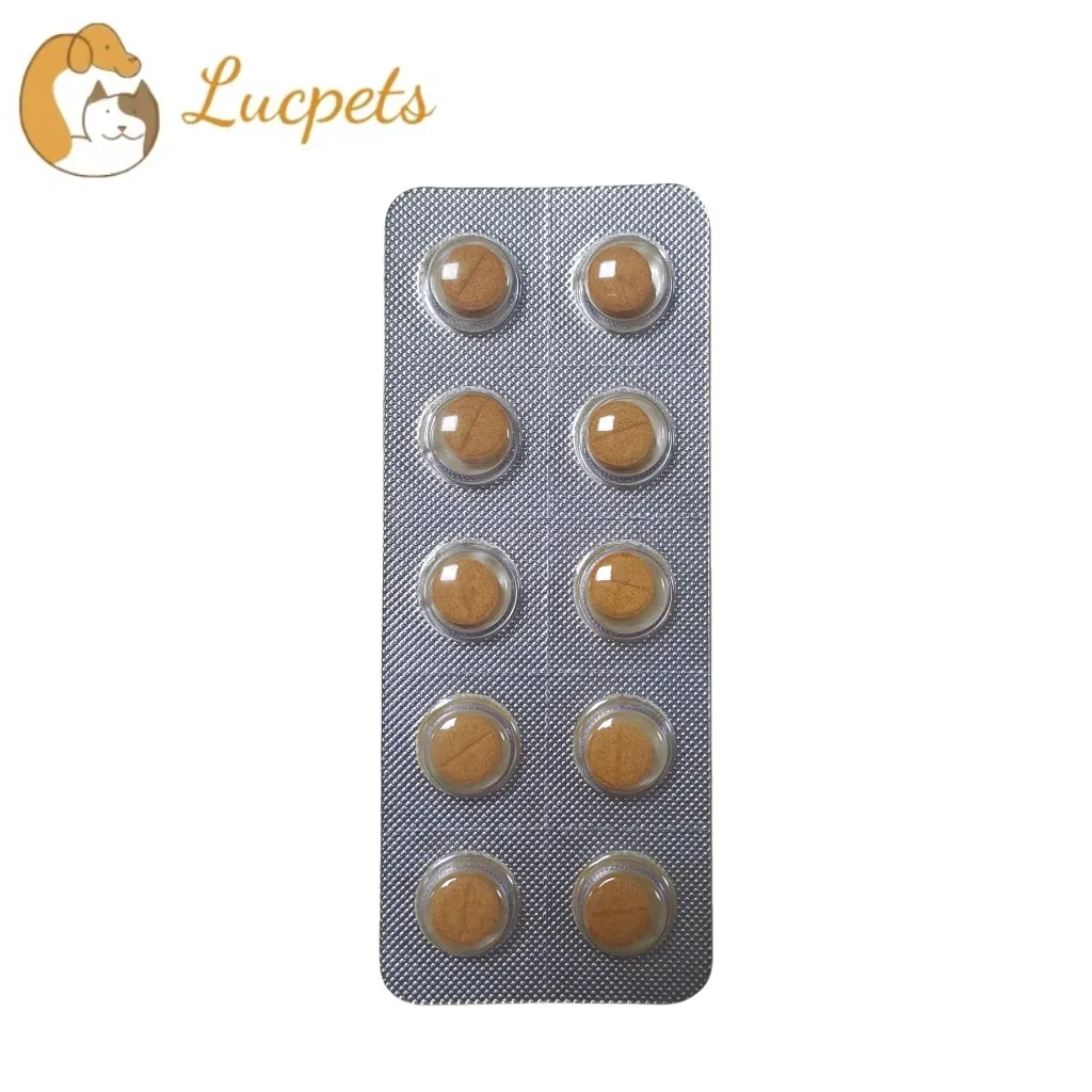 Toceranib Packaging Display