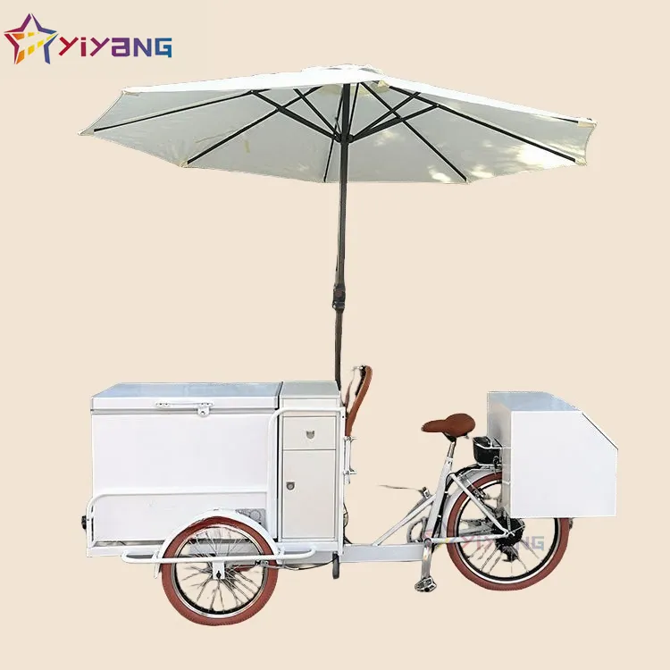 Cargo Tricycle 2