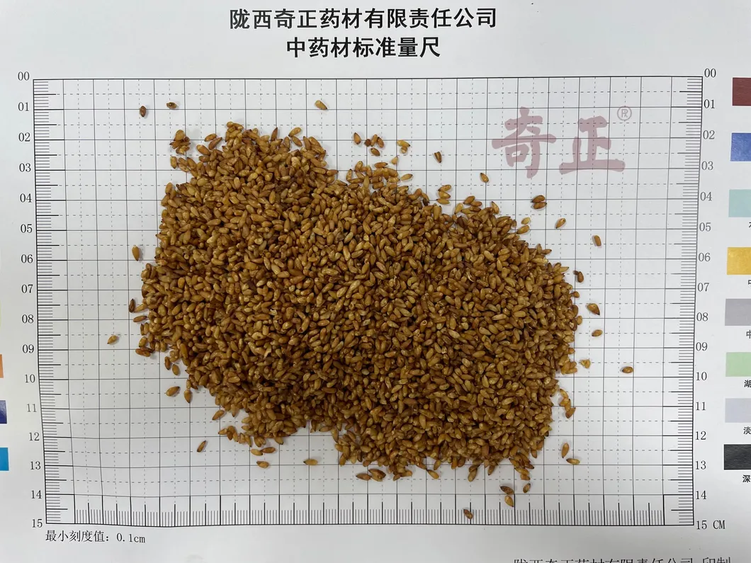 Chao Bai Zi Ren High Quality