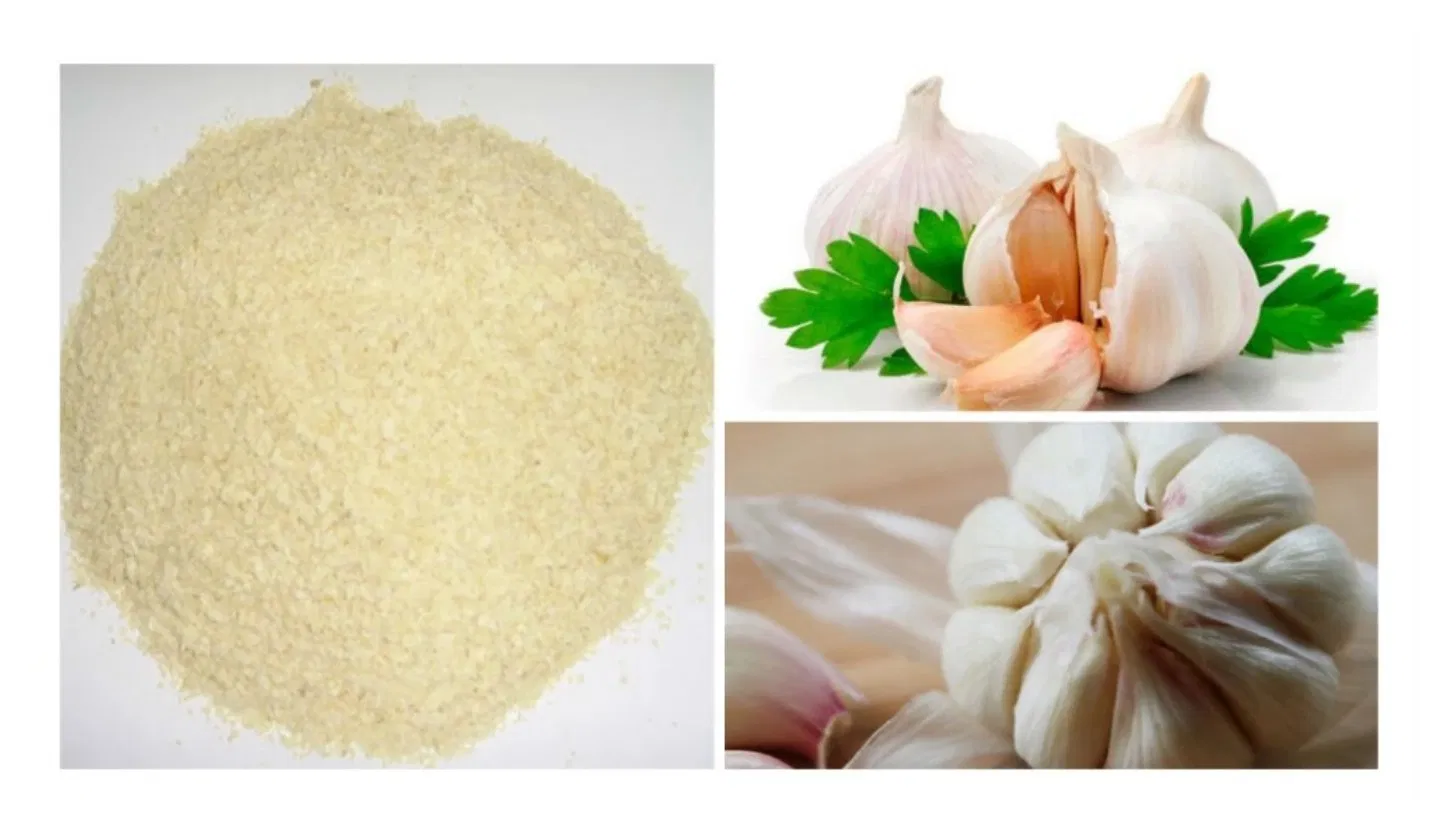 Allicin Garlic Powder Granules 64439-81-2 Animal Feed Additives