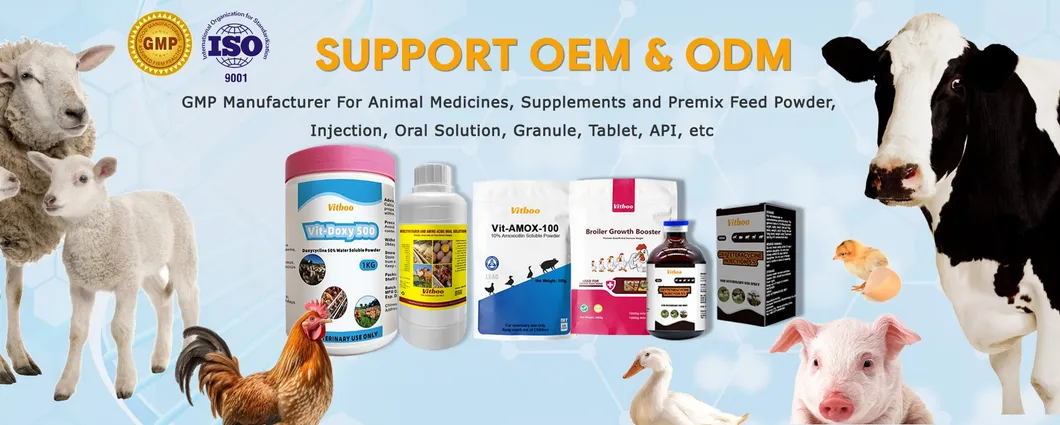 Anti Virus Oral Solution Banner