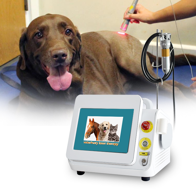 980nm Diode Laser Physiotherapy Pain Relief Physical Therapy /Veterinary Use Vet Therapeutic