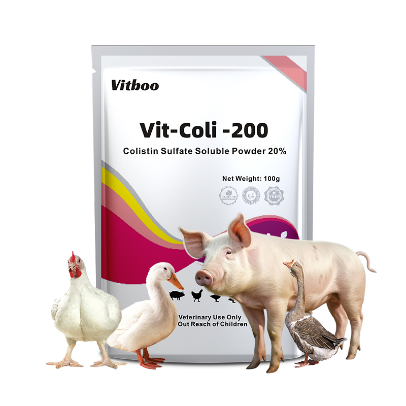 Veterinary Medicine 10% Florfenicol Soluble Powder for Treating Chickens′ Respiratory and Intestinal Diseases