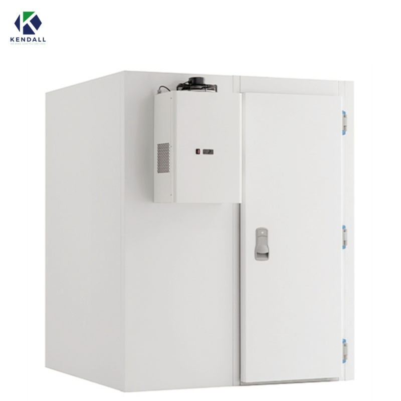 Freezer Cold Room Chambre Froide Industrial Blast Freezer Walkin Cooler Cold Storage Room Price Fresh-Keeping Freezer Fruit