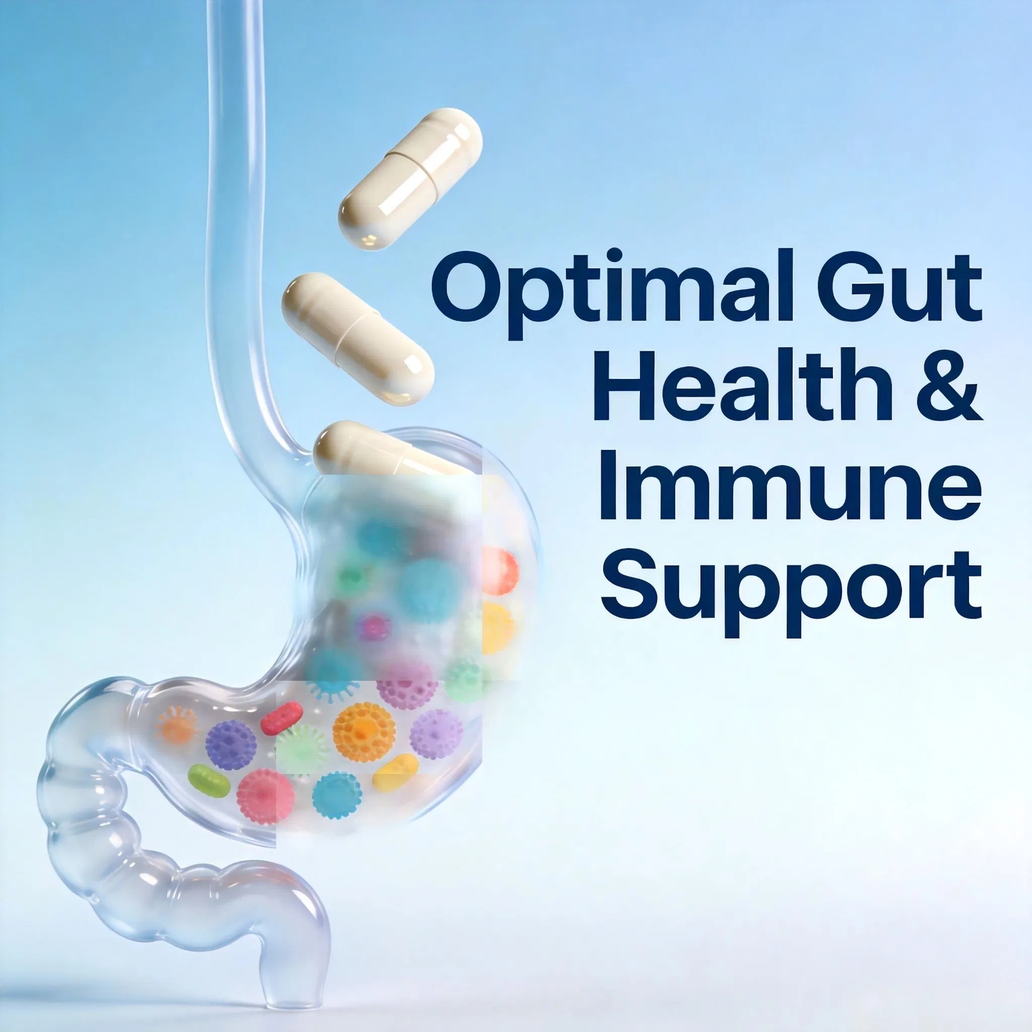 Immune Support &amp; Digestive Health with 10-Strain, 50 Billion Cfu for Cognitive Enhancement &amp; Mood Balance - Gut-Brain Axis Probiotic Capsules