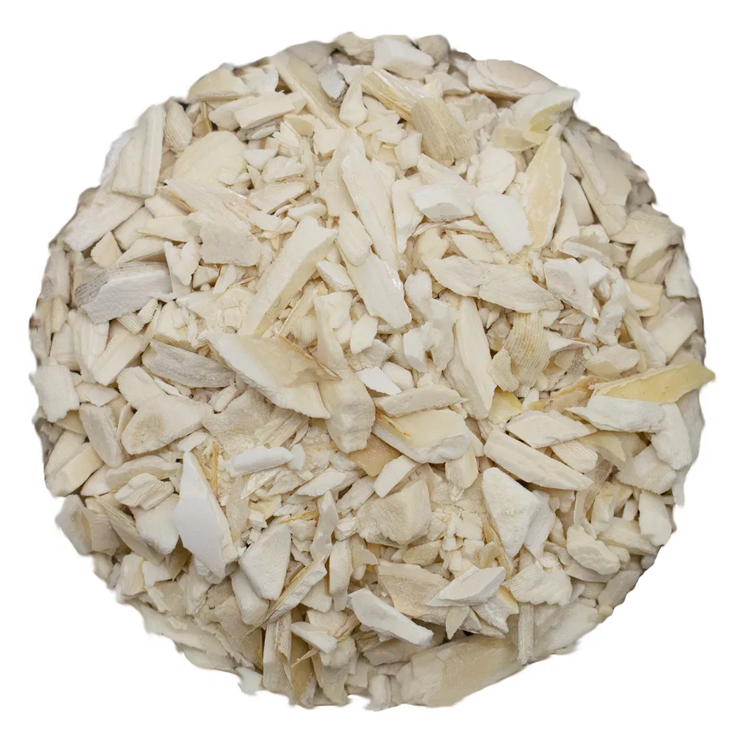 Cuttlefish Bone Chips 2