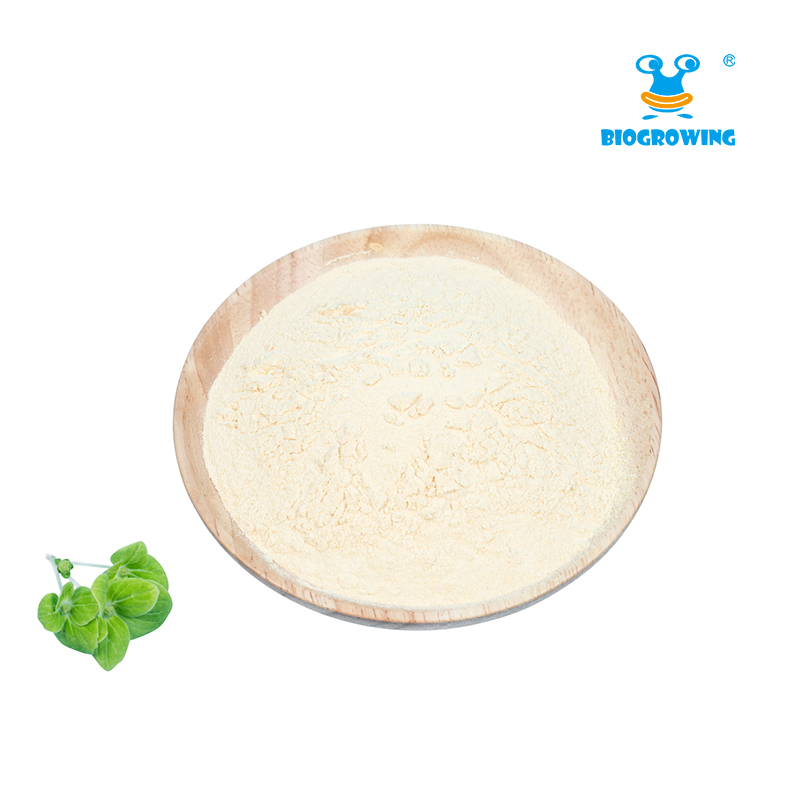 Health Supplement Ingredient Lactobacillus Casei for Weight Management