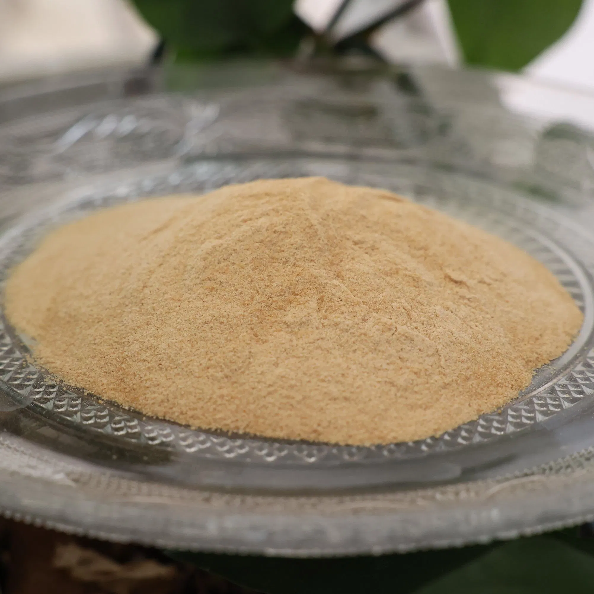 Soybean Enzymatic Hydrolysate Protein Soy Protein Concentrate Animal Feed Additive Poultry Feed Additives Hydrolysate Powder Feed Enhancing Digestive Health