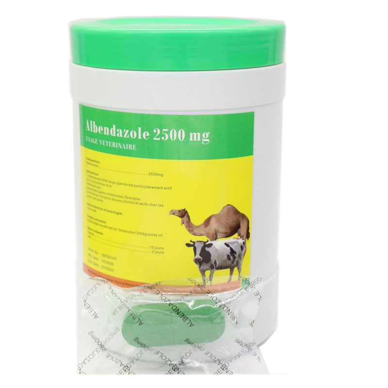 Medicine for Veterinary Manufacturer Enrofloxacin 10% Oral Solution for Animal Health Care