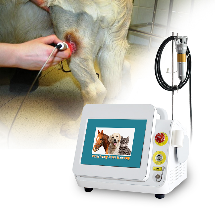High Energy 980nm Diode Laser Therapy Machine Veterinary Equipment for Vet Equine Physical Therapy Pain Relief