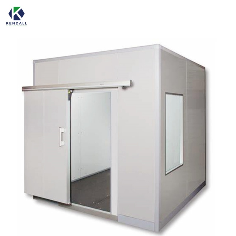 Freezer Cold Room Chambre Froide Industrial Blast Freezer Walkin Cooler Cold Storage Room Price Fresh-Keeping Freezer Fruit