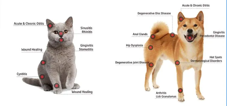 Therapy Visualization