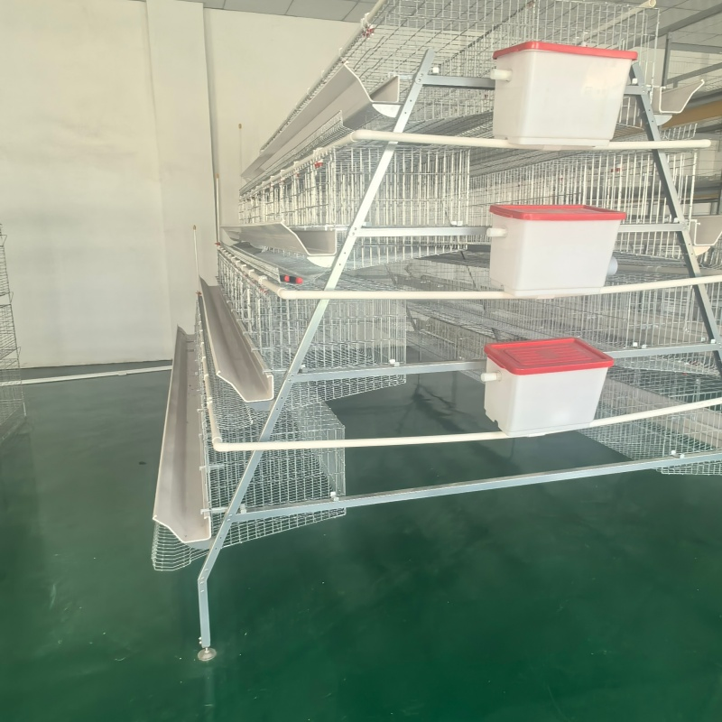 Galvanized Layer Chicken Cages Products Plans for 5000 Birds