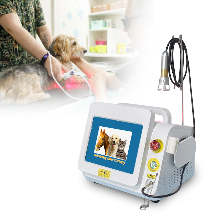 2024 Pet Care Laser 980nm Vet Medical Infrared Light Laser Therapy Pain Relief