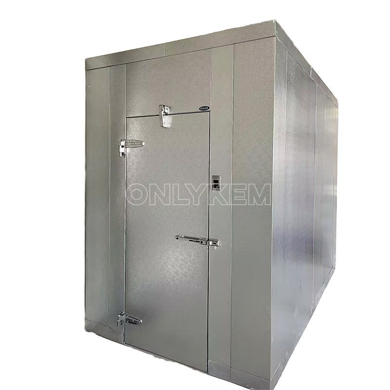 8X8FT Small Cold Room Storage Mobile Freezer Room