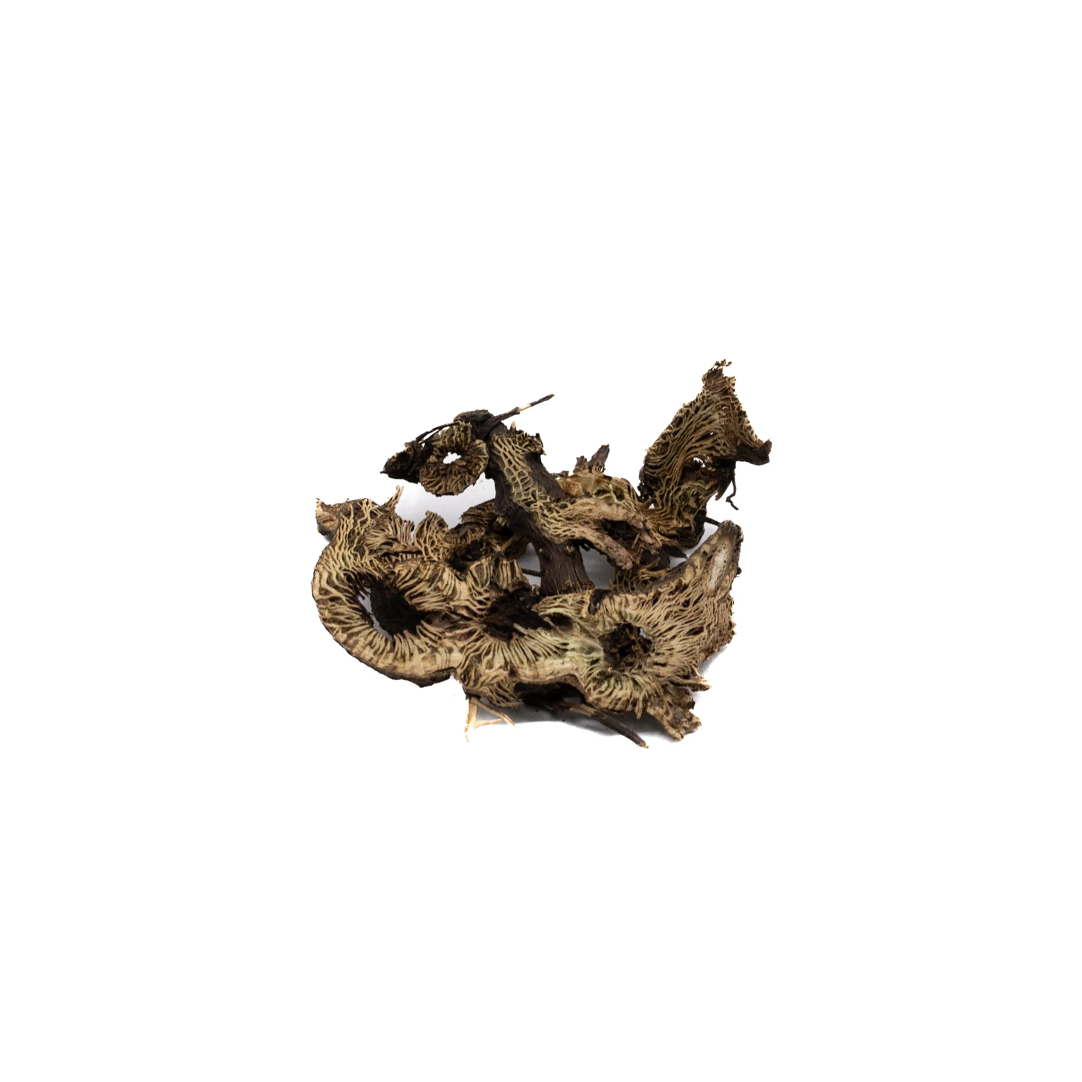 Factory Supply Sheng Ma High Quality Herbal Medicine Cimicifuga Dahurica