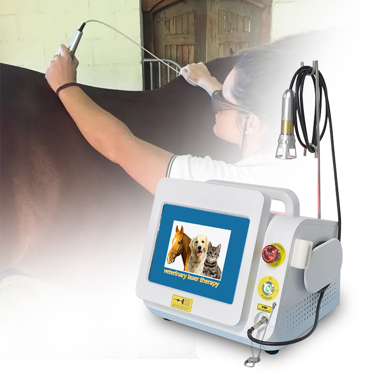 980nm Diode Laser Physiotherapy Pain Relief Physical Therapy /Veterinary Use Vet Therapeutic