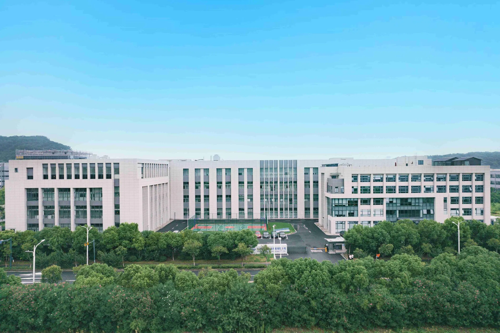 Promote Digestion Probiotics Powder Supplements Bifidobacterium Bifidum for Digestive Health