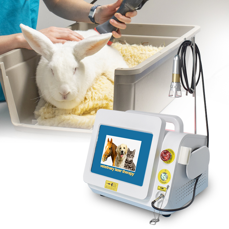 Portable Veterinary Vet 980nm Diode Laser Painrelief Device Equine Laser Therapy Equipment for Horse