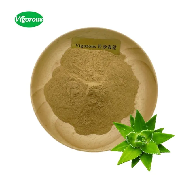Aloe Vera Powder