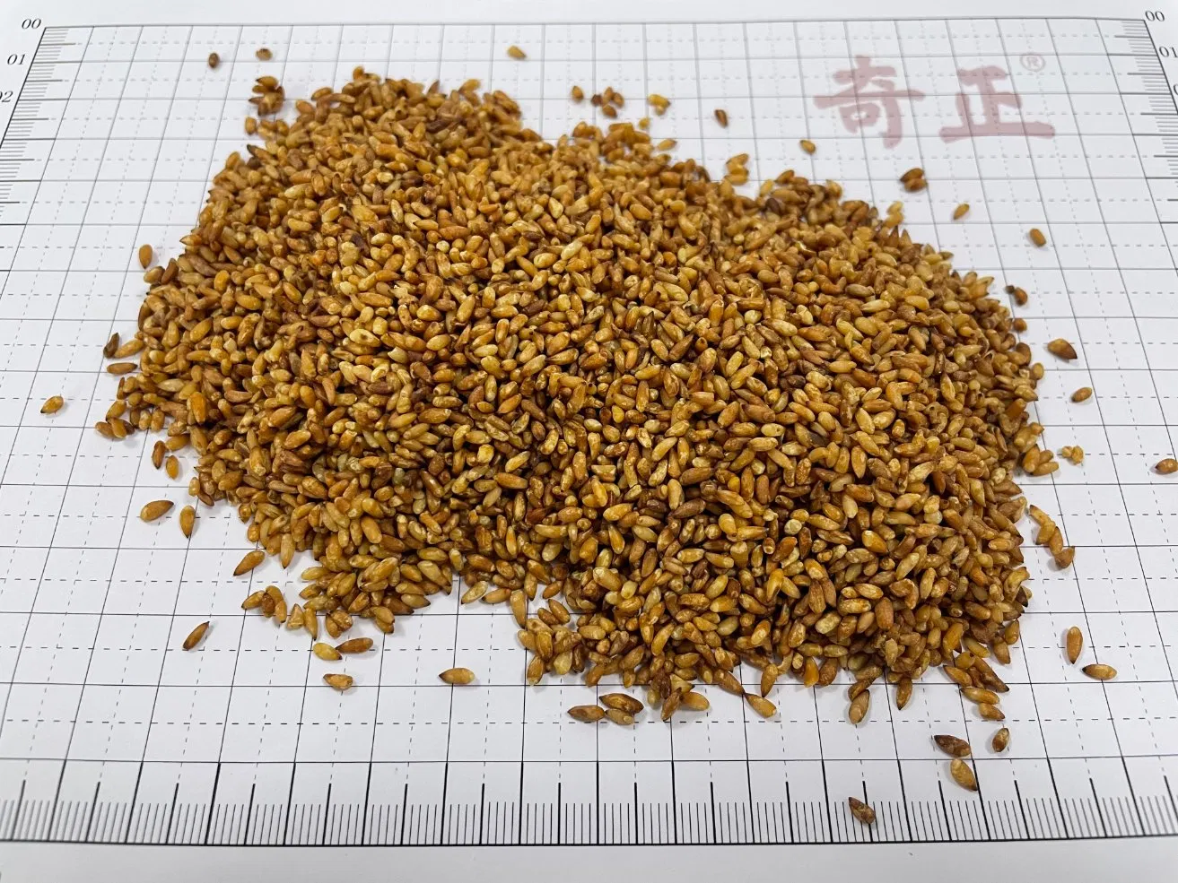 Chao Bai Zi Ren Platycladi Semen Chinese Traditional Herb Natural Dried Herbal Medicine