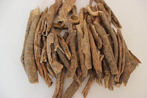 Wu Jia Pi Chinese Herbal Medicine Hot Sales Cortex Acanthopanacis