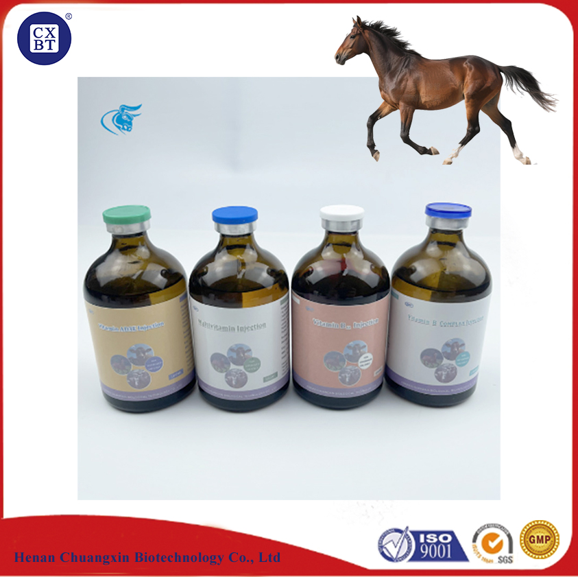 Premium Digestive Health Support for Pets: Vitamin B Complex