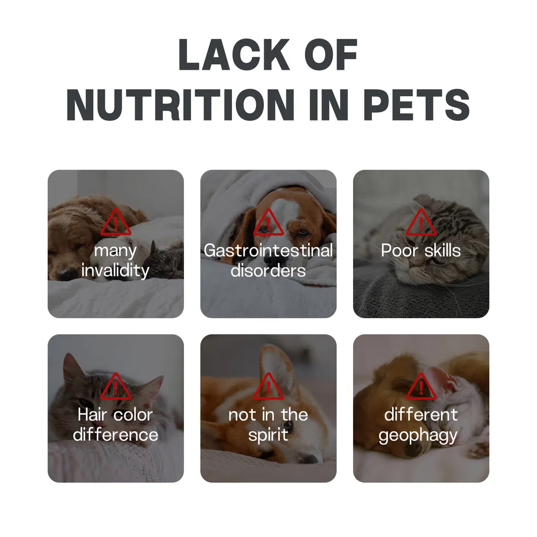 Multivitamin Powder 5