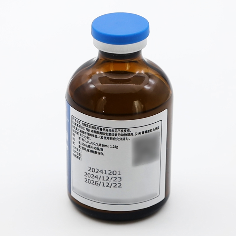 GMP Certificated Supplier Veterinary Medicine 2.5% Cefquinome Sulfate Injection for Animal Use