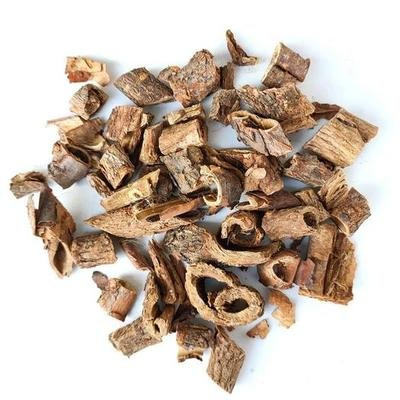 Wu Jia Pi Chinese Herbal Medicine Hot Sales Cortex Acanthopanacis