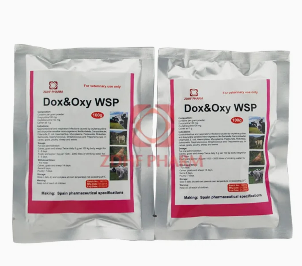 Amoxycillin 20% for Animal Gastrointestinal &amp; Respiratory Care